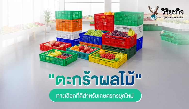ตะกร้าผลไม้ ทางเลือกที่ดีสำหรับเกษตรกรยุคใหม่